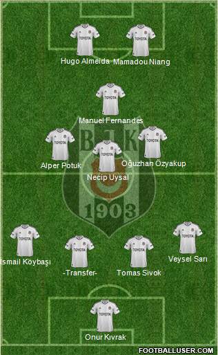 Besiktas JK Formation 2013