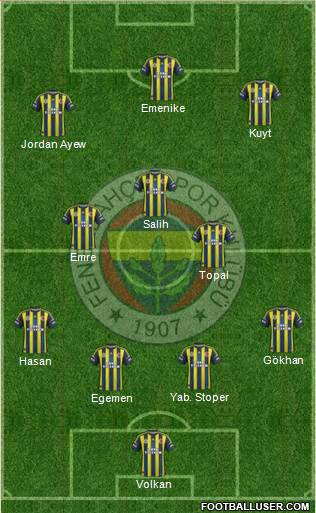 Fenerbahçe SK Formation 2013
