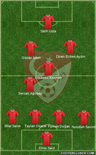 Turkey Formation 2013