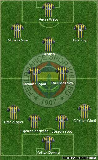 Fenerbahçe SK Formation 2013