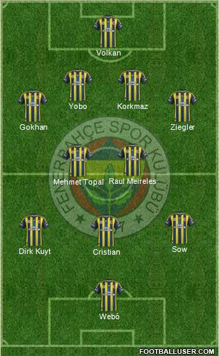 Fenerbahçe SK Formation 2013