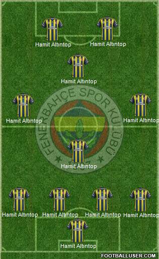 Fenerbahçe SK Formation 2013