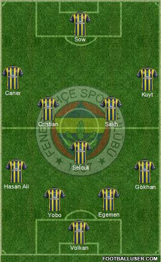 Fenerbahçe SK Formation 2013