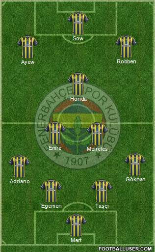 Fenerbahçe SK Formation 2013