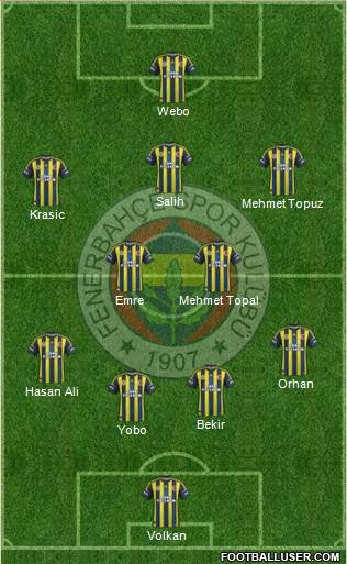 Fenerbahçe SK Formation 2013