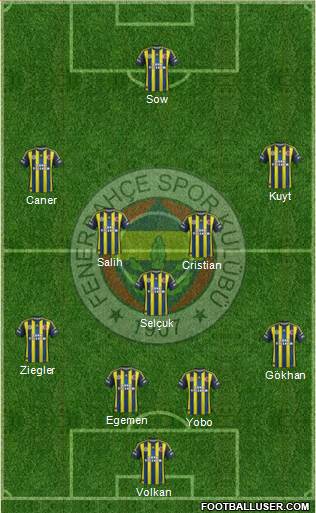 Fenerbahçe SK Formation 2013