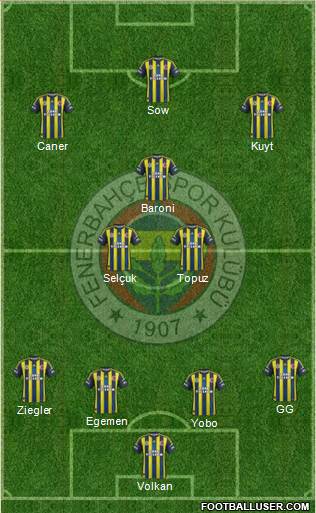 Fenerbahçe SK Formation 2013