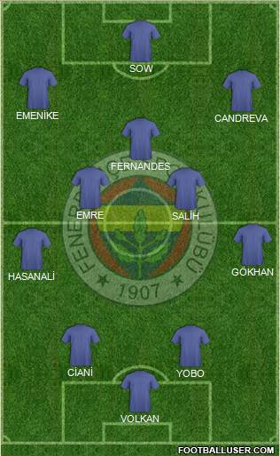 Fenerbahçe SK Formation 2013