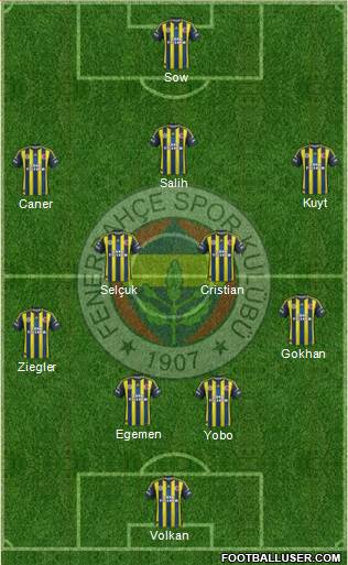 Fenerbahçe SK Formation 2013