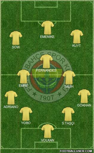 Fenerbahçe SK Formation 2013