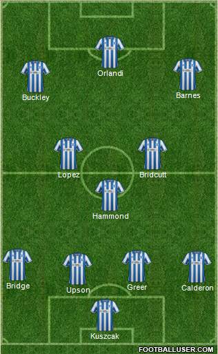 Brighton and Hove Albion Formation 2013