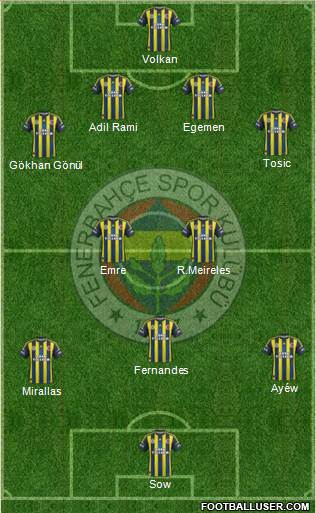 Fenerbahçe SK Formation 2013