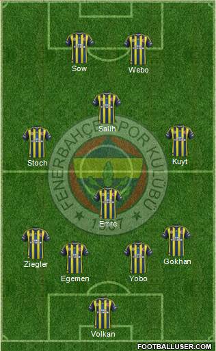 Fenerbahçe SK Formation 2013