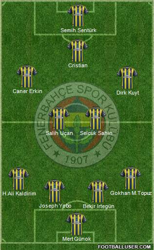 Fenerbahçe SK Formation 2013