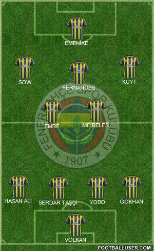 Fenerbahçe SK Formation 2013