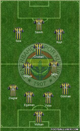Fenerbahçe SK Formation 2013