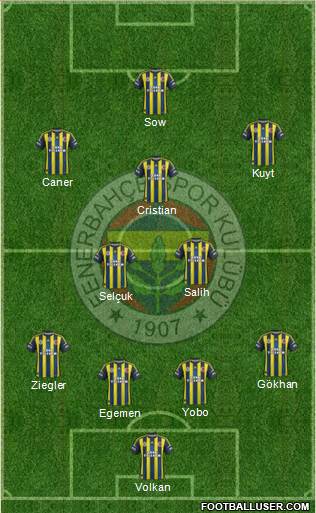 Fenerbahçe SK Formation 2013