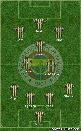 Fenerbahçe SK Formation 2013