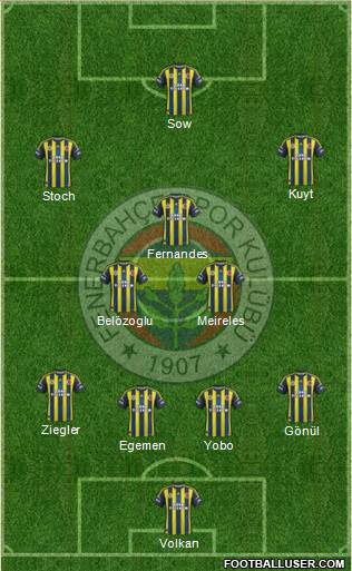 Fenerbahçe SK Formation 2013
