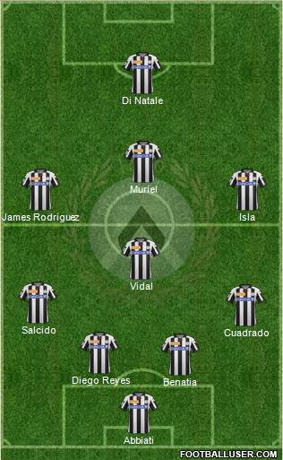 Udinese Formation 2013