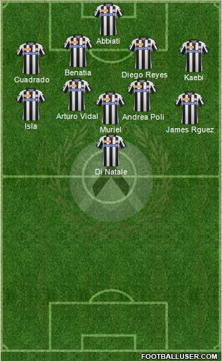 Udinese Formation 2013