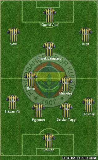 Fenerbahçe SK Formation 2013