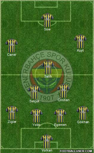 Fenerbahçe SK Formation 2013