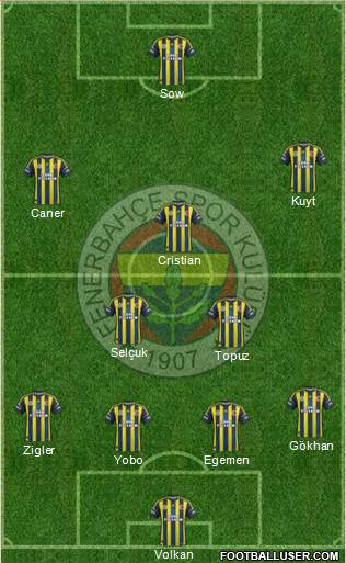 Fenerbahçe SK Formation 2013