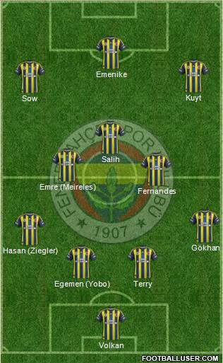 Fenerbahçe SK Formation 2013