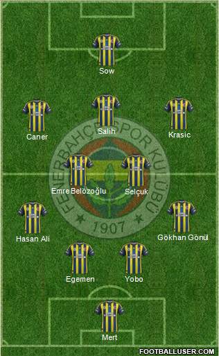 Fenerbahçe SK Formation 2013