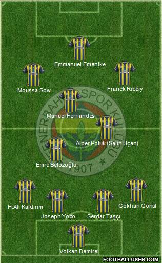 Fenerbahçe SK Formation 2013