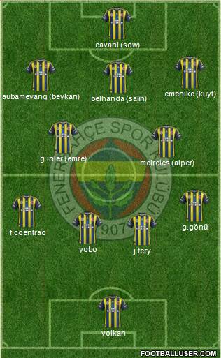 Fenerbahçe SK Formation 2013
