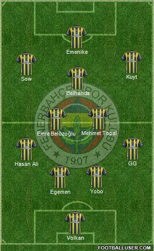 Fenerbahçe SK Formation 2013