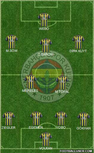 Fenerbahçe SK Formation 2013