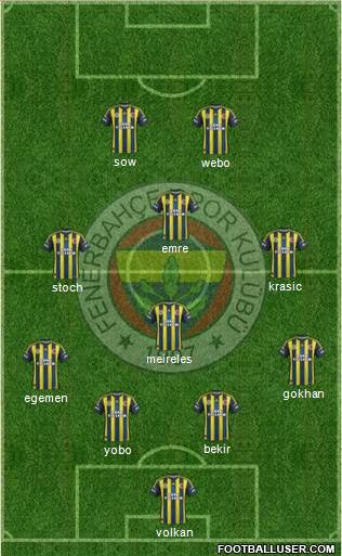 Fenerbahçe SK Formation 2013