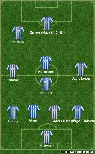Brighton and Hove Albion Formation 2013