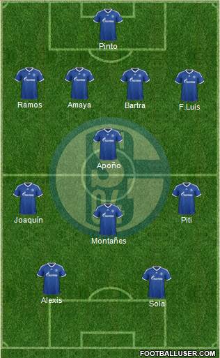 FC Schalke 04 Formation 2013