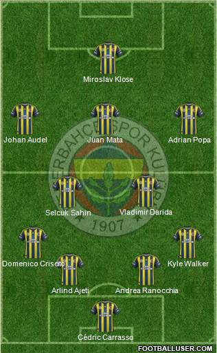 Fenerbahçe SK Formation 2013