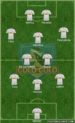 CSD Colo Colo Formation 2013