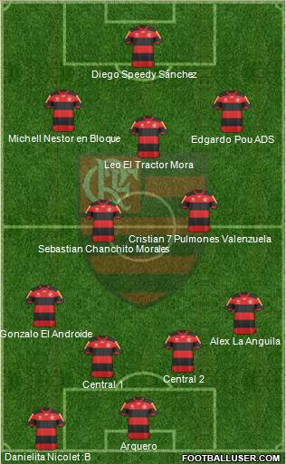 CR Flamengo Formation 2013