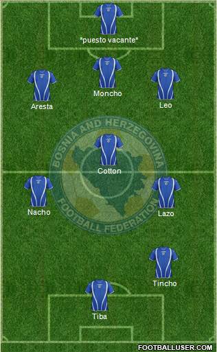 Bosnia and Herzegovina Formation 2013