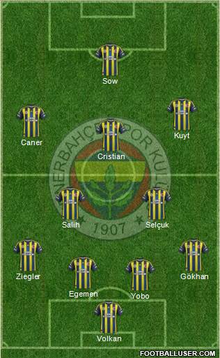 Fenerbahçe SK Formation 2013