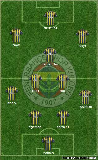 Fenerbahçe SK Formation 2013
