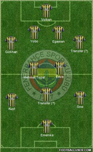 Fenerbahçe SK Formation 2013