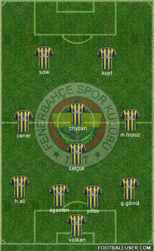 Fenerbahçe SK Formation 2013