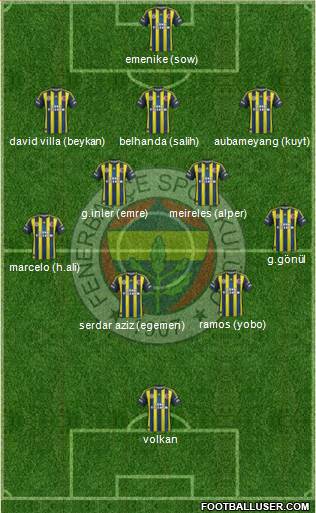 Fenerbahçe SK Formation 2013