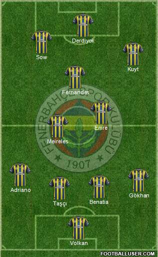 Fenerbahçe SK Formation 2013