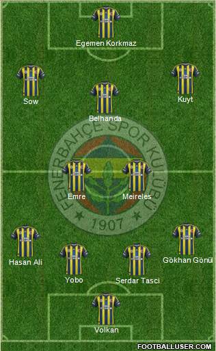 Fenerbahçe SK Formation 2013