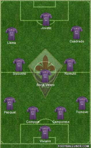Fiorentina Formation 2013