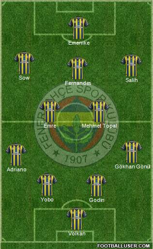 Fenerbahçe SK Formation 2013